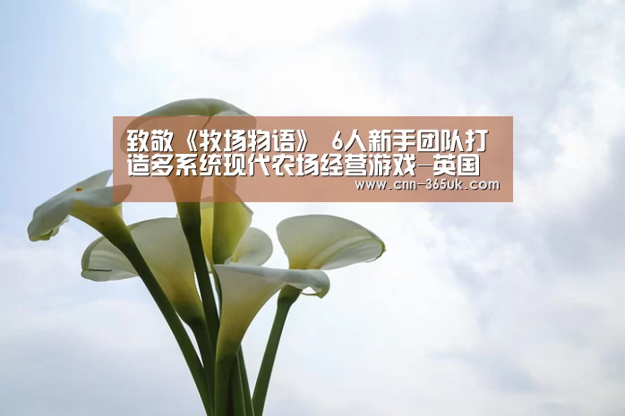 致敬《牧场物语》 6人新手团队打造多系统现代农场经营游戏-英国上市公司365(图1) 英国正版365官方网站