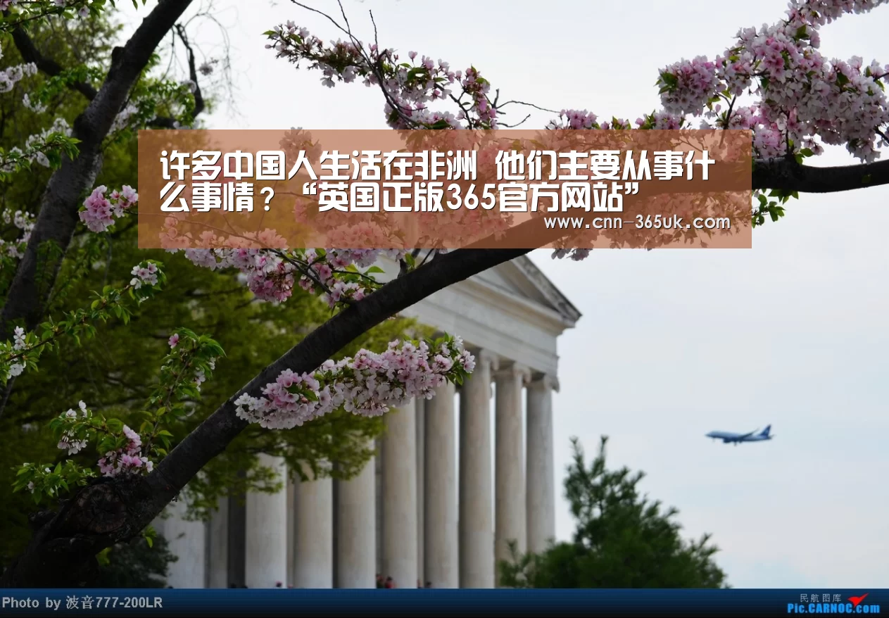英国正版365官方网站