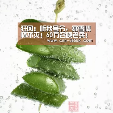 英国正版365官方网站
