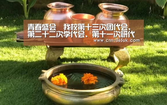 青春盛会︱我校第十三次团代会、第二十二次学代会、第十一次研代会召开预备会议:英国365集团(图2) 英国365集团