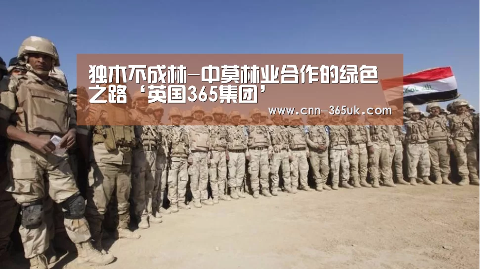 英国上市公司365