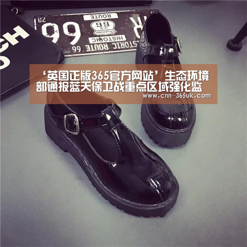 ‘英国正版365官方网站’生态环境部通报蓝天保卫战重点区域强化监督检查情况(11月19日)(图3) 英国365集团